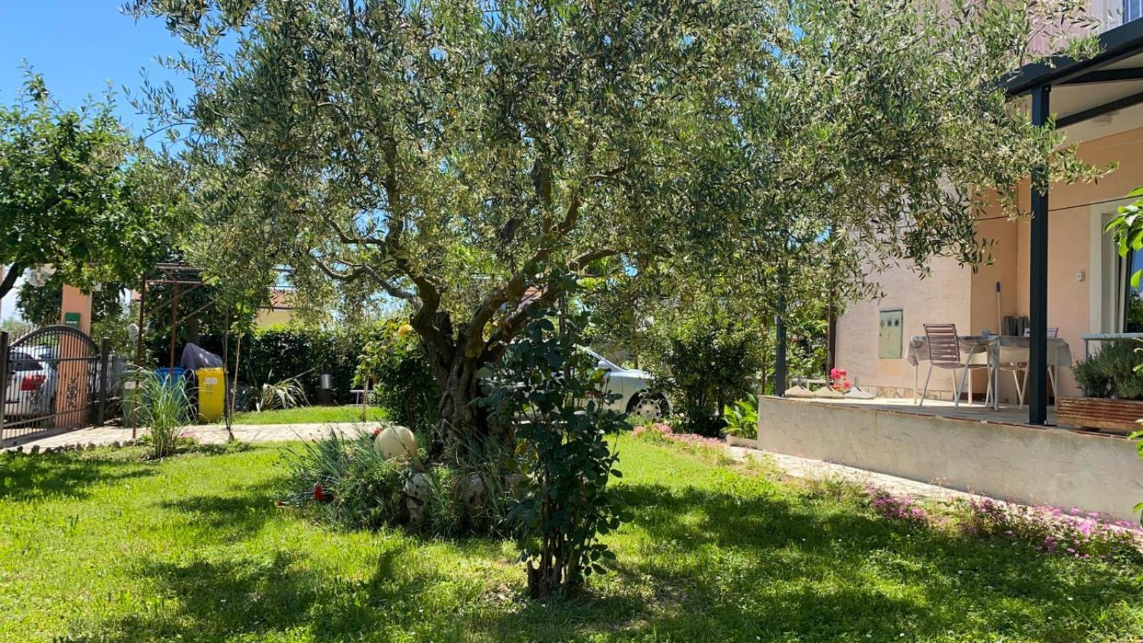 Apartment Gracijana Porec Esterno foto